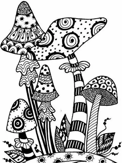 小学线描画蘑菇系列黑白线描画素材资料值得学习和借鉴