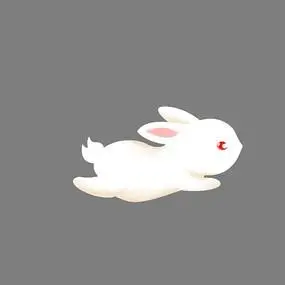 奔跑的兔子