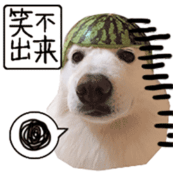 萌宠西瓜皮小狗笑不出来gif动图_动态图_表情包下载_soogif