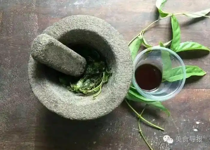 今日农历三月三!江门街坊食咗"鸡屎藤"未?