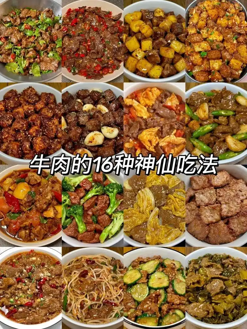 牛肉的16种做法,吃了不胖,减脂美食#小炒黄牛肉 #孜然牛肉
