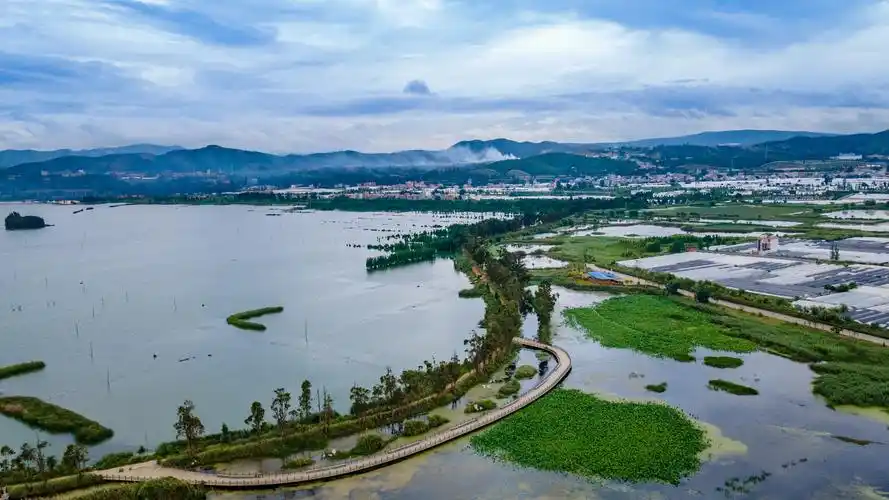 晋宁南湾滇池国家湿地公园