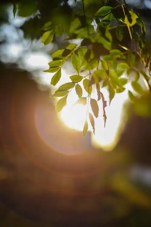 美好的天气当然不能辜负