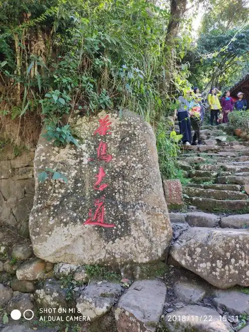 2024普洱茶马古道旅游景区游玩攻略,.感受百年前的长途贩卖的商.