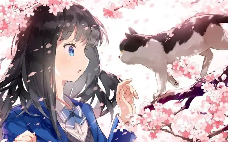 动漫壁纸——电脑壁纸