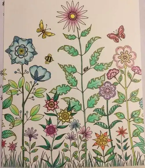 秘密花园涂色样本及成品作品参考展示