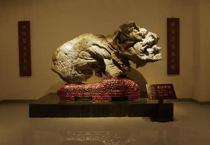 博物崂山天韵奇石千姿百态一起走进青岛金石博物馆