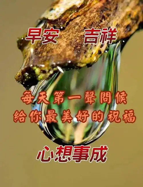 8张非常创意好看的友谊早上好问候图片带字精选冬天唯美早安问候图片