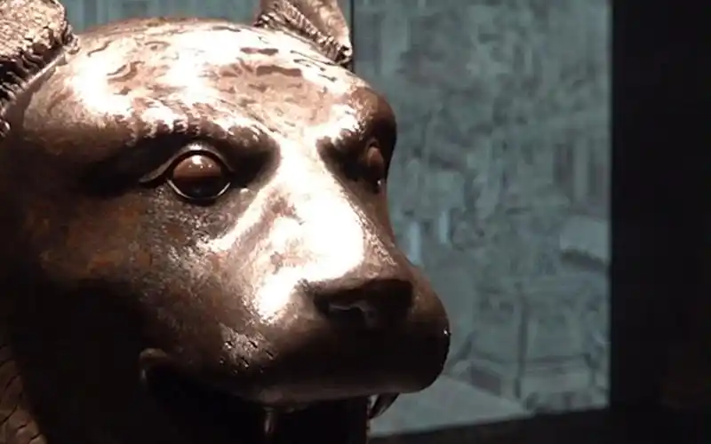 7月4日-8月31日,"盛世聚首天宝芳华:圆明园兽首暨文物展"在香港城市