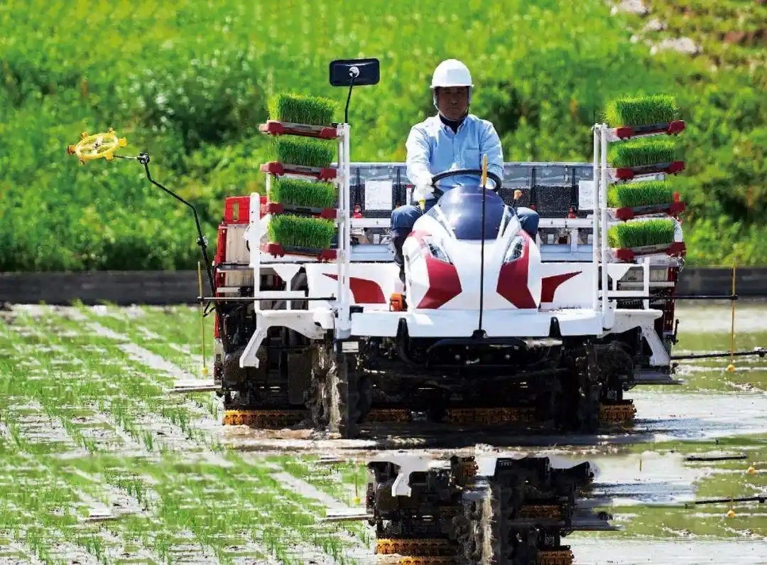 2021年插秧机形势展望高速插秧机持续热销日资企业仍难超越