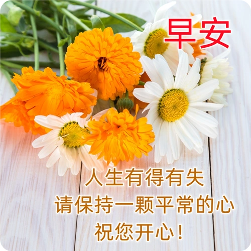 早安祝福语 问候大家早上好图片祝福 早安图片大全