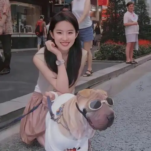 原来这些火爆的头像全都是刘亦菲|||一天一个微信头像 支付宝用刘亦菲