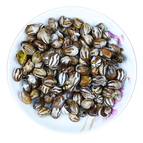 杨拉罐新鲜活体500g包邮内蒙刺蛾带壳洋辣子蛋巴结毛子仓鼠坦克虫