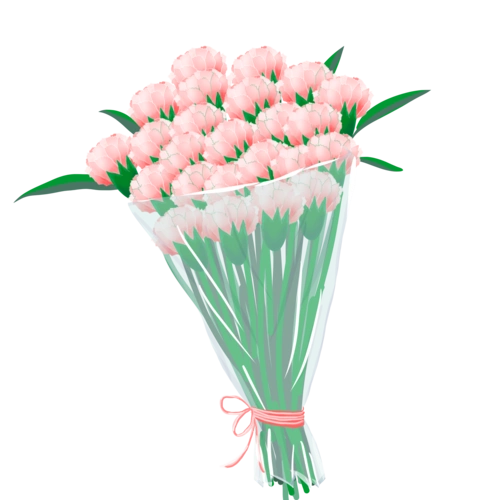 母亲节粉色花朵花束康乃馨手绘