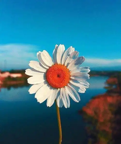 正能量句子视频抖音2021最精辟最火句子