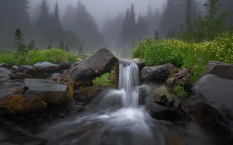 自然和风景 瀑布 瀑布,小溪,石头,草,树,雾,早上 壁纸 下载 1440x900