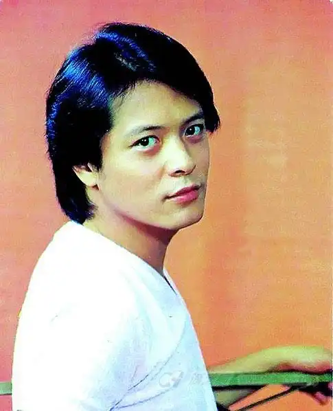 台湾歌手刘文正