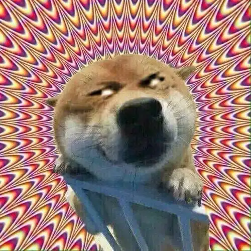 doge给你个眼神自己体会去doge给你个体会表情
