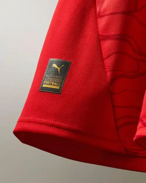 奥地利国家队 2024 欧洲杯主客场球衣