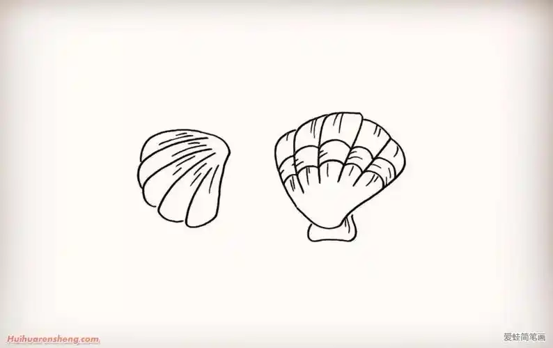 贝壳简笔画