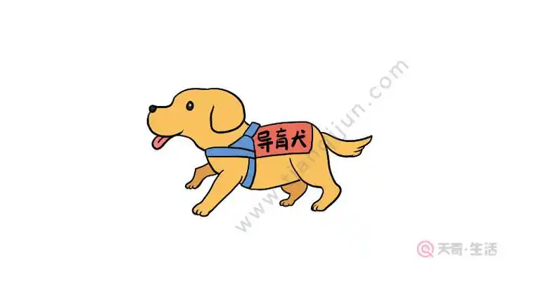 盲人的导盲犬简笔画教程 盲人的导盲犬简笔画步骤