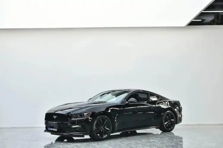 野马～mustang 2.3t性能版