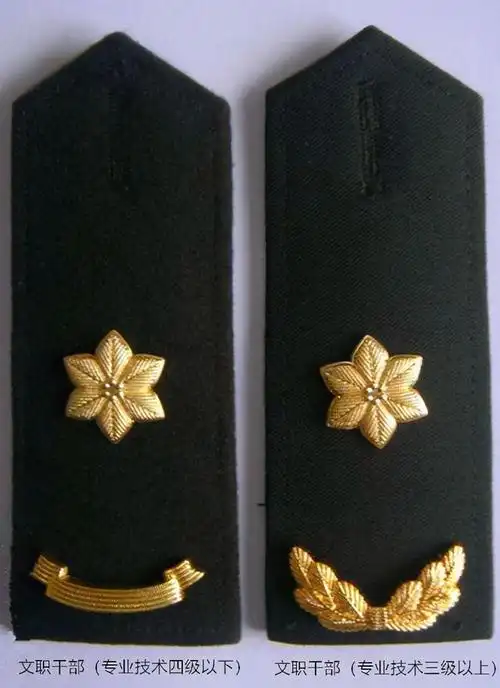 谈谈文职干部的肩章,领花,岗位等级标志