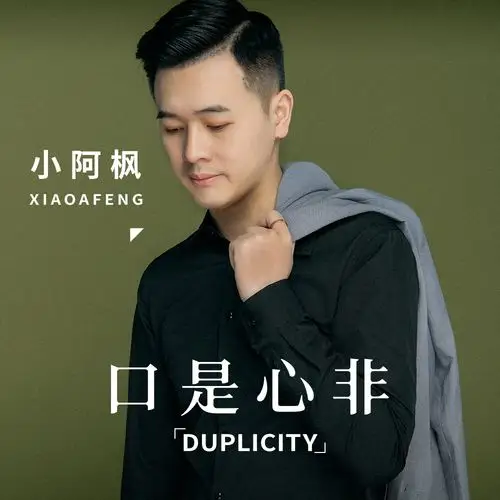 小阿枫__高音质在线试听_口是心非歌词|歌曲下载_酷狗音乐口是心非