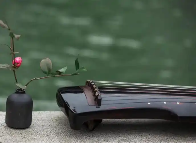 扬州市守仁制琴有限公司为您介绍新丰古琴初学者基础教程诚信企业推荐