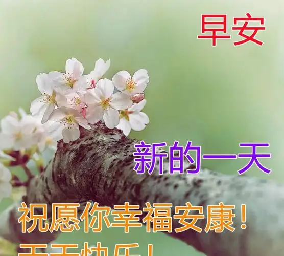 2022年清晨暖心的早上好问候语句朋友圈群发早安祝福文字图片