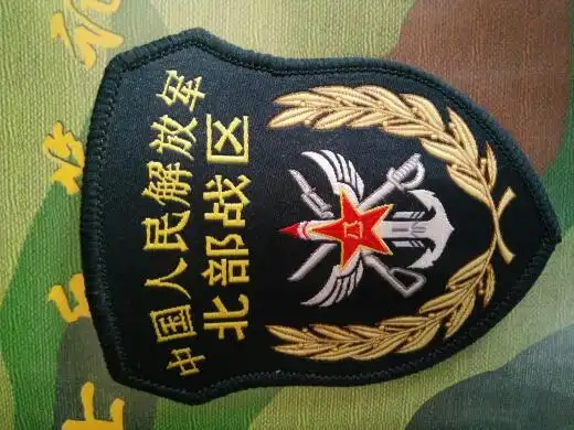 照片臂章颜色是什么颜色的,这色深蓝色对吗.