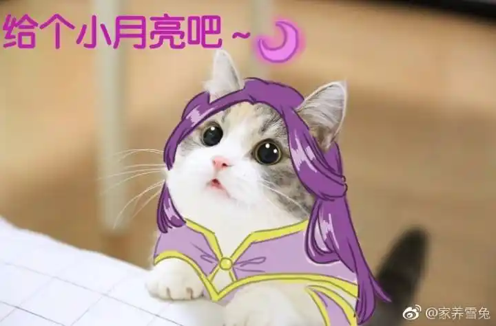 表情包,露娜,紫霞仙子,王者荣耀紫霞仙子露娜撒娇表情包