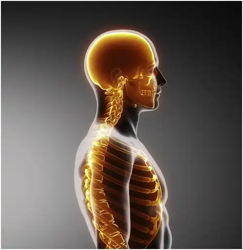 亚洲人的话还是小骨架最适合,虽然说什么大骨架走欧美风什么的,但以