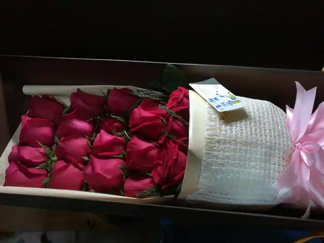 舍友男朋友送的玫瑰花,好看.