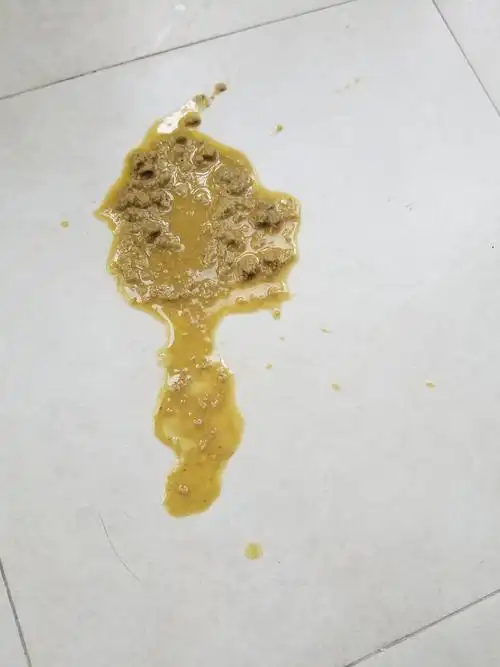 求助有呕吐物图慎入猫咪早上突然呕吐拉稀