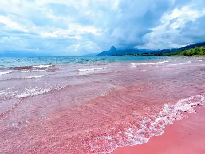 粉色沙滩很出片