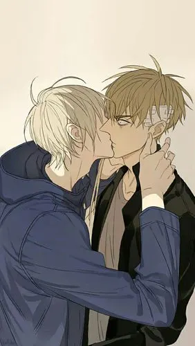 lofter for ipad —— 记录生活,发现同好