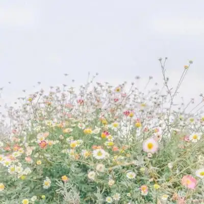 高清好看的清新建筑风景图片头像
