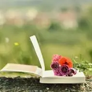 书本头像唯美图片,微信头像图片