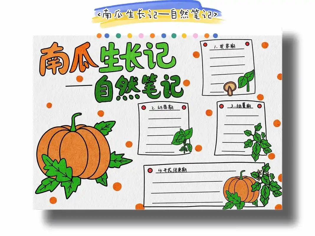 南瓜生长记—-自然笔记.南瓜自然生长记—-自然笔记,用简单的 - 抖音