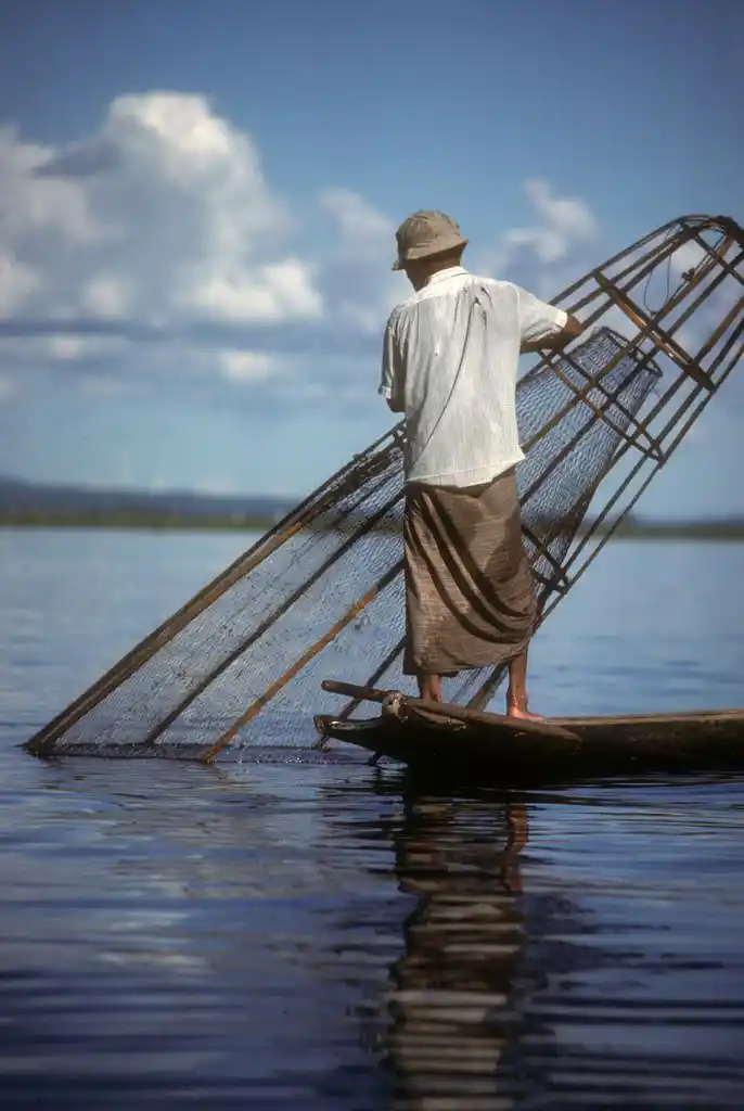 腿划船渔夫,leg rowing fisherman and fish trap on inle lake burma