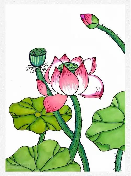 创意儿童画教程《夏天的荷花》