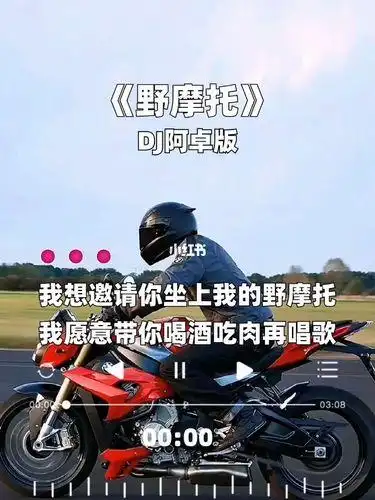 野摩托歌词(野摩托歌曲简介)