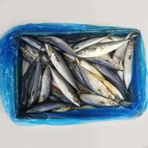 青条鱼青占鱼一1斤3条3条半(6kg)