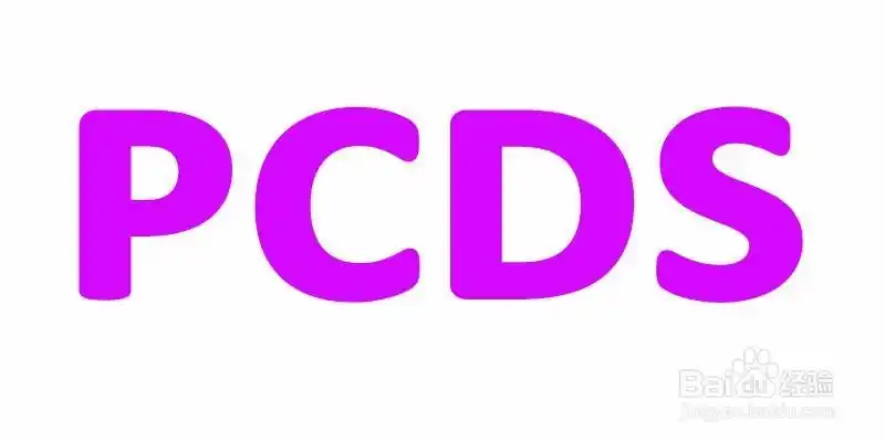新建800*400图层.分辩率为72.输入大写英文字母"pcds"字体calibri.