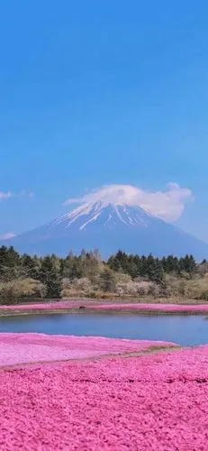 手机壁纸 富士山