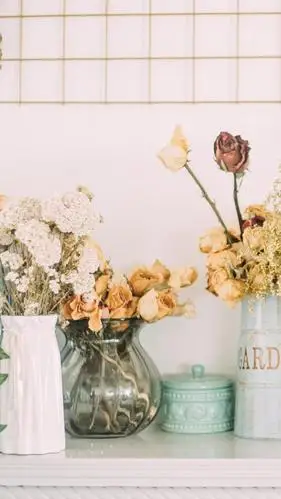 暖色系唯美插花静物