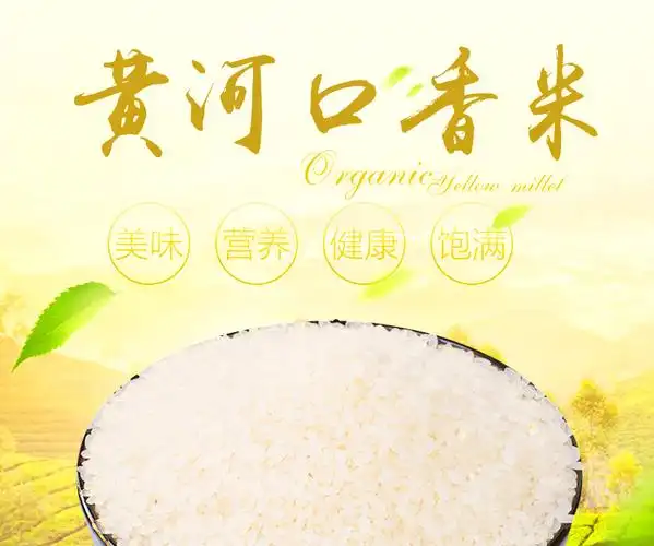 黄河口大米(雪稻)