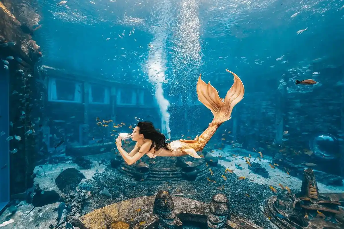 惊艳!首届中国美人鱼表演赛举行决赛