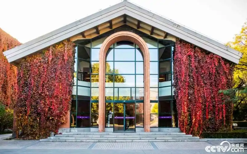 深秋时节,北京清华大学校园内色彩斑斓,宛如油画.